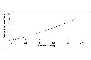 Typical standard curve (PLOD3 ELISA Kit)