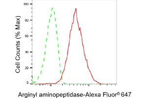 Flow cytometric analysis of Arginyl aminopeptidase expression in HepG2 cells using Arginyl aminopeptidase antibody (ABIN7797648), 1:2,000). (RNPEP antibody)