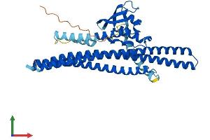 Protein Structure (PS) image for Sorting Nexin 32 (SNX32) (AA 1-404) protein (His tag) (ABIN7558456)