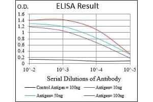 Black line: Control Antigen (100 ng), Purple line: Antigen(10 ng), Blue line: Antigen (50 ng), Red line: Antigen (100 ng), (Importin 9 antibody  (AA 453-680))