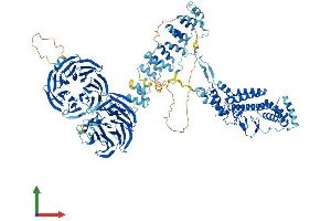 Protein Structure (PS) image for Coatomer Protein Complex, Subunit alpha (COPA) (AA 1-1224) protein (His tag) (ABIN7553551)