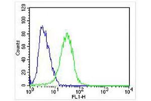 Overlay histogram showing SH-SY5Y cells stained with (ABIN652381 and ABIN2841827) (green line).