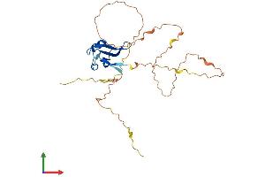 Protein Structure (PS) image for Deleted in Azoospermia-Like (DAZL) (AA 1-295) protein (His tag) (ABIN7546963)
