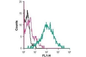 Flow Cytometry (FACS) image for anti-Tumor Necrosis Factor Receptor Superfamily, Member 1A (TNFRSF1A) (AA 127-139), (Extracellular) antibody (ABIN7043869)