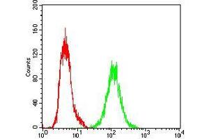 Flow Cytometry (FACS) image for anti-X-Ray Repair Complementing Defective Repair in Chinese Hamster Cells 6 (XRCC6) (AA 6-214) antibody (ABIN5542547)