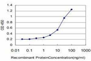 Detection limit for recombinant GST tagged AGER is approximately 0. (RAGE antibody  (AA 23-404))