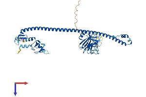Tripartite Motif Containing 58 (TRIM58) (AA 1-485) protein (His tag)