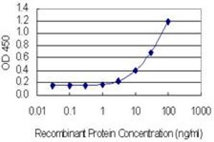 Detection limit for recombinant GST tagged CEP55 is 0. (CEP55 antibody  (AA 1-464))