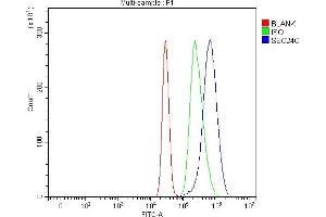 Flow Cytometry analysis of K562 cells using anti-SEC24C antibody (ABIN7600303). (SEC24C antibody  (AA 178-1033))