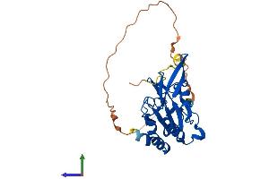 AlphaFold protein structure predicition of Mouse Recombinant Ctdspl Protein, UniprotID P58465 (CTDSPL Protein (AA 1-276) (His tag))