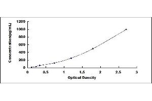 Typical standard curve (DLL1 ELISA Kit)