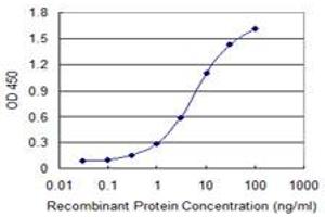 Detection limit for recombinant GST tagged FOXC2 is 0. (FOXC2 antibody  (AA 156-256))