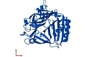 AlphaFold protein structure predicition of Human Recombinant C11orf54 Protein, UniprotID Q9H0W9