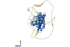 AlphaFold protein structure predicition of Human Recombinant ARHGEF4 Protein, UniprotID Q9NR80