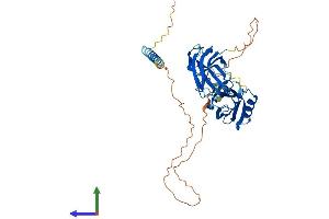 AlphaFold protein structure predicition of Human Recombinant SYT11 Protein, UniprotID Q9BT88