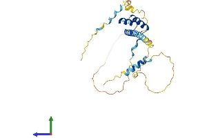 Protein Structure (PS) image for Paired Related Homeobox 2 (PRRX2) (AA 1-253) protein (His tag) (ABIN7551026)