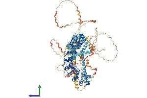 AlphaFold protein structure predicition of Human Recombinant ESPNL Protein, UniprotID Q6ZVH7 (ESPNL Protein (AA 1-1005) (His tag))