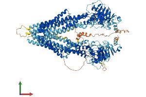 Protein Structure (PS) image for ATP-Binding Cassette, Sub-Family B (MDR/TAP), Member 4 (ABCB4) (AA 1-1286) protein (His tag) (ABIN7554556)