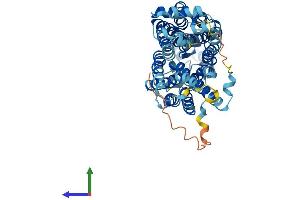 AlphaFold protein structure predicition of Human Recombinant SLC22A4 Protein, UniprotID Q9H015