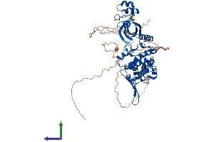 AlphaFold protein structure predicition of Mouse Recombinant Dyrk3 Protein, UniprotID Q922Y0