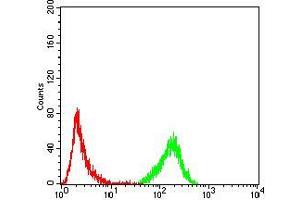 Flow cytometric analysis of K562 cells using EMD mouse mAb (green) and negative control (red). (Emerin antibody  (AA 1-222))