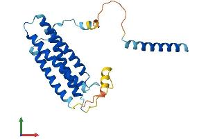 AlphaFold protein structure predicition of Human Recombinant RGS9BP Protein, UniprotID Q6ZS82
