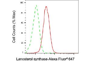 anti-Lanosterol Synthase (2,3-Oxidosqualene-Lanosterol Cyclase) (LSS) antibody