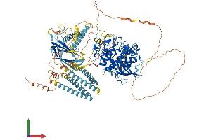 AlphaFold protein structure predicition of Human Recombinant PKN2 Protein, UniprotID Q16513