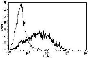 A typical staining pattern with the B-F2 monoclonal antibody of PHA activated lymphocytes (CD25 antibody)