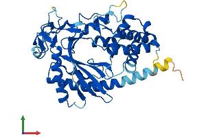 AlphaFold protein structure predicition of Human Recombinant MAB21L3 Protein, UniprotID Q8N8X9 (MAB21L3 Protein (AA 1-362) (His tag))
