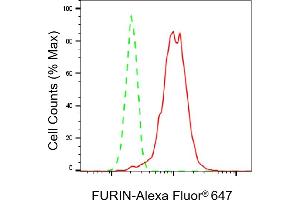 Flow cytometric analysis of FURIN expression in HeLa cells using FURIN antibody (ABIN7798668), 1:2,000). (Recombinant FURIN antibody)