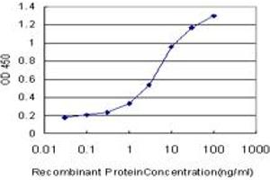 Detection limit for recombinant GST tagged LAP3 is approximately 0. (LAP3 antibody  (AA 420-519))