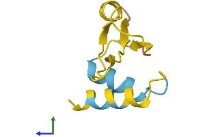 AlphaFold protein structure predicition of Human Recombinant DLEU1 Protein, UniprotID O43261