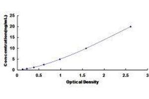 TANK-Binding Kinase 1 (TBK1) ELISA Kit