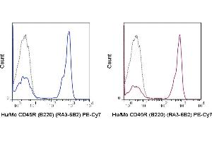 C57Bl/6 splenocytes were stained with 0. (CD45 antibody  (PE-Cy7))