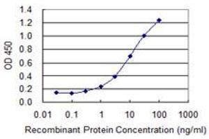 Calpain 15/SOLH antibody  (AA 993-1086)