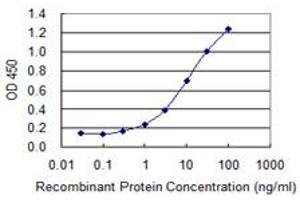 Detection limit for recombinant GST tagged SOLH is 0. (Calpain 15/SOLH antibody  (AA 993-1086))