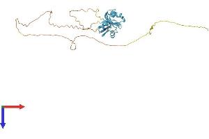 SFRS6 Protein (AA 1-344) (His tag)