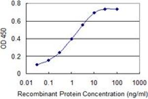 Detection limit for recombinant GST tagged KIT is 0. (KIT antibody  (AA 41-140))