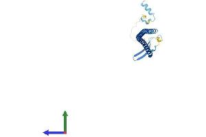 AlphaFold protein structure predicition of Human Recombinant STMN4 Protein, UniprotID Q9H169 (STMN4 Protein (AA 1-189) (His tag))