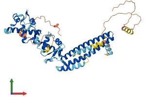 Protein Structure (PS) image for CHMP Family, Member 7 (CHMP7) (AA 1-451) protein (His tag) (ABIN7559683)