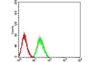 Flow cytometric analysis of HL-60 cells using CD322 mouse mAb (green) and negative control (red).