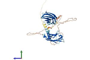 AlphaFold protein structure predicition of Mouse Recombinant Syt4 Protein, UniprotID P40749