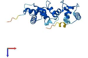 AlphaFold protein structure predicition of Human Recombinant CIB3 Protein, UniprotID Q96Q77 (CIB3 Protein (AA 1-187) (His tag))