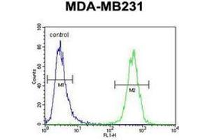 Flow cytometric analysis of MDA-MB231 cells using AP52042PU-N (right histogram) compared to a negative control cell (left histogram). (HHLA2 antibody  (N-Term))