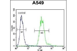 EII Antibody (C-term) 11233b flow cytometric analysis of A549 cells (right histogram) compared to a negative control cell (left histogram). (TDP2 antibody  (C-Term))