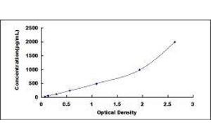 ELISA image for Leptin (LEP) ELISA Kit (ABIN416007)