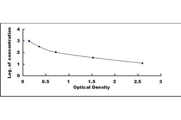 Gastrin ELISA Kit