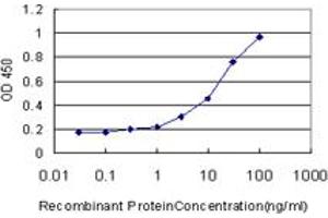 Detection limit for recombinant GST tagged HIPK1 is approximately 0. (HIPK1 antibody  (AA 330-430))