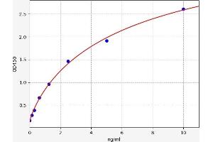 Cross Linked C-Telopeptide of Type III Collagen (CTX-III) ELISA Kit